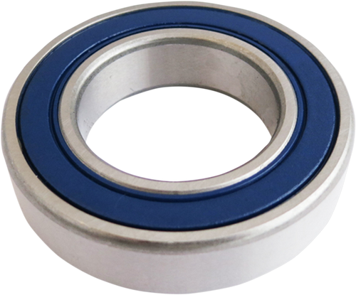 Axle Bearing - Rear