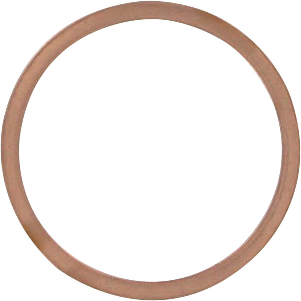 Exhaust Gasket