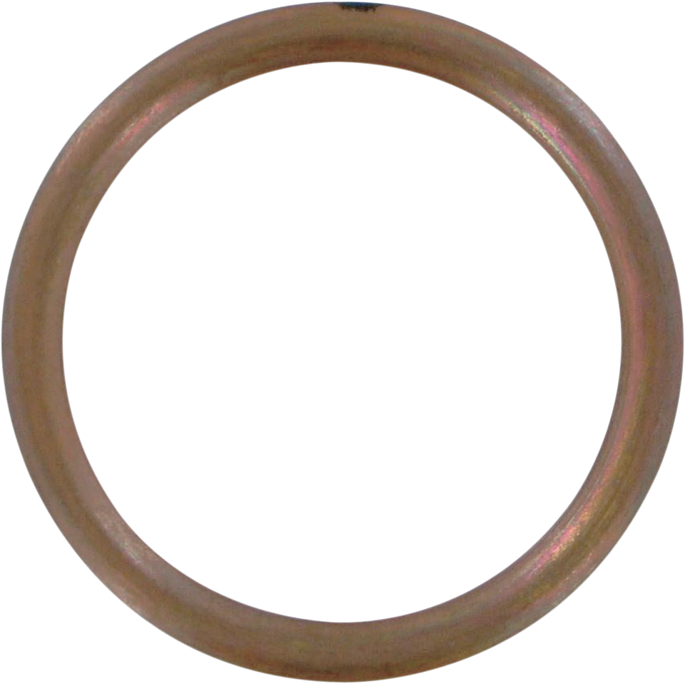 Exhaust Gasket