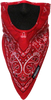 Facefit Facemask - Red Paisley - Lutzka's Garage