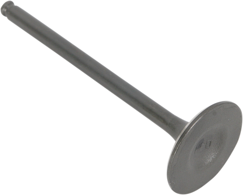 Exhaust Valve