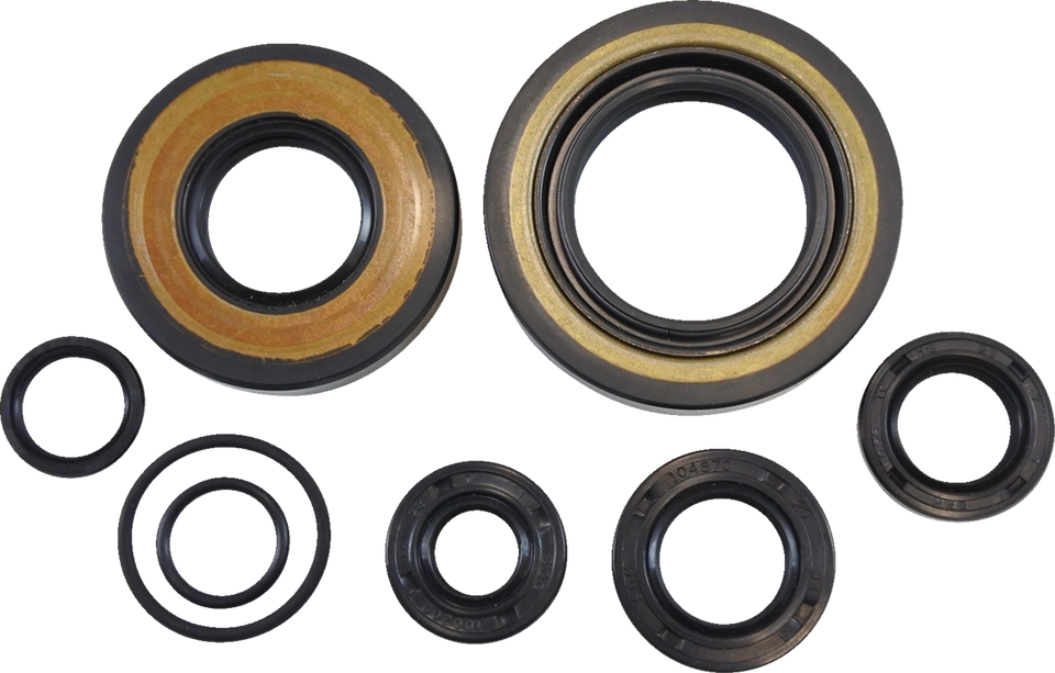 Oil Seal Kit