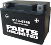 AGM Battery - YTX4L