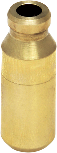 Intake Valve Guide