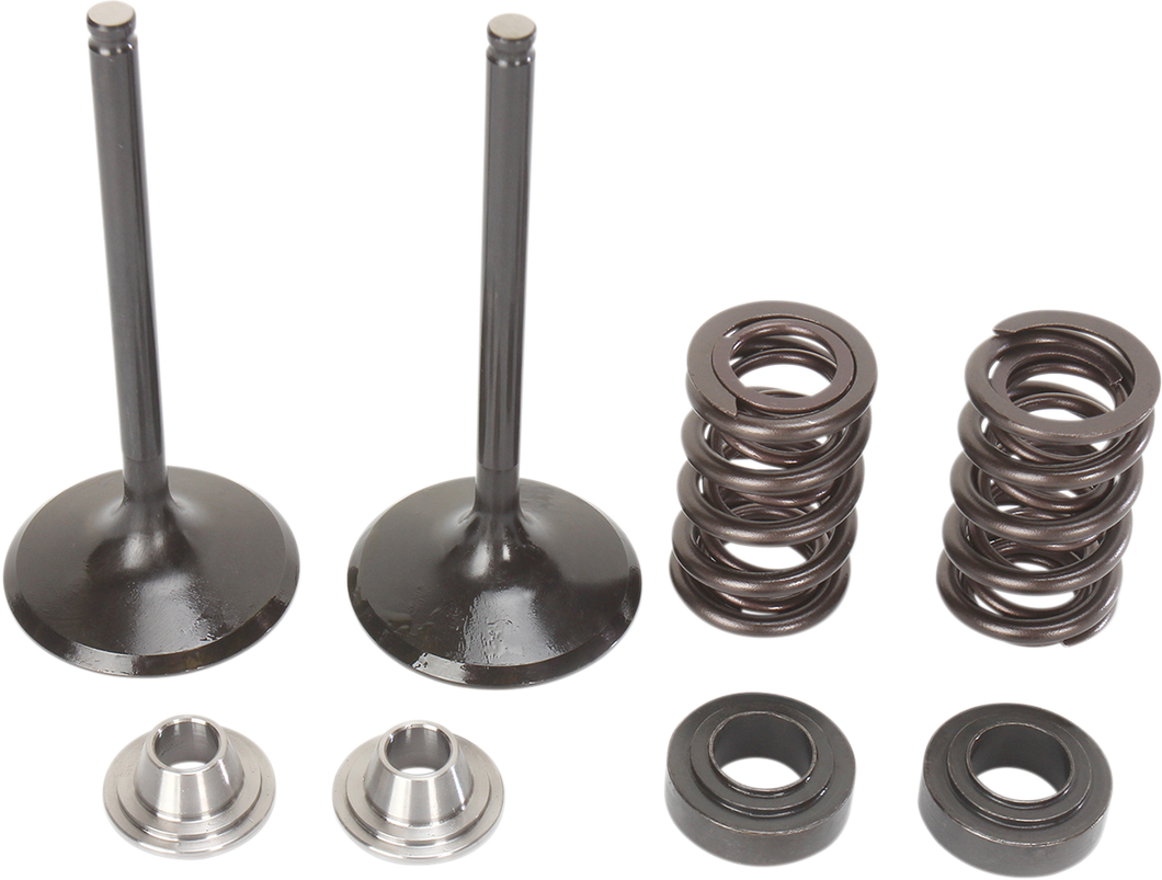 Intake Valve Kit