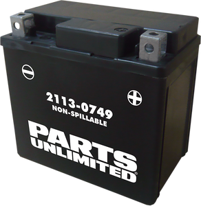 AGM Battery - YTX5L