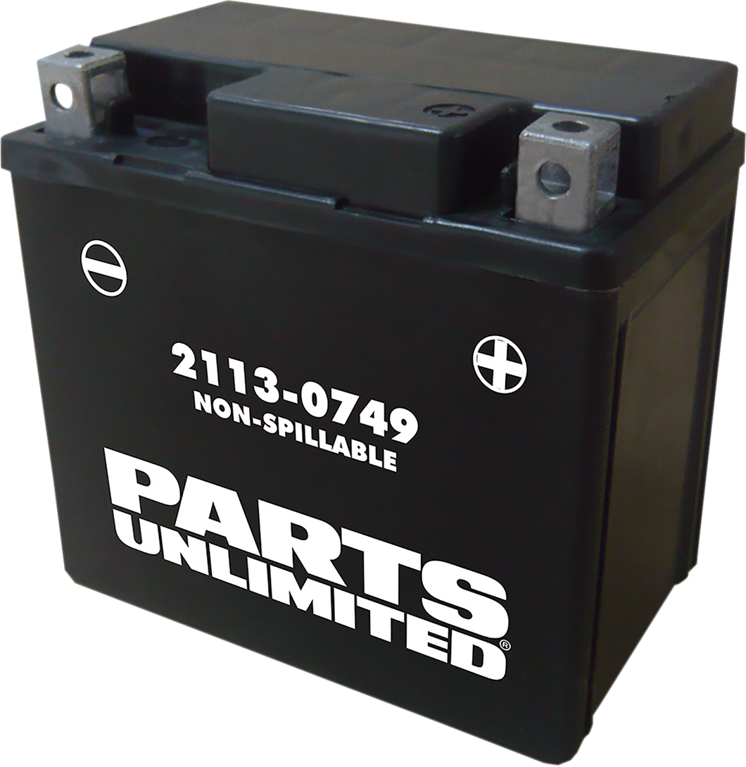 AGM Battery - YTX5L