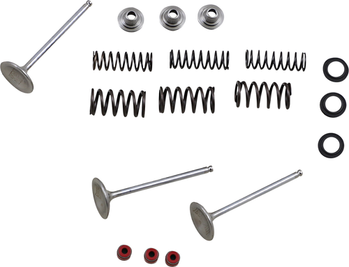 Intake Valve Kit