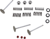 Intake Valve Kit