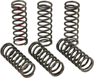 Clutch Springs - CRF 450R