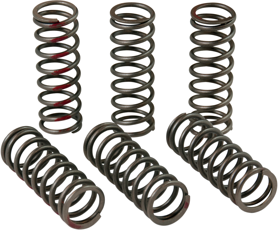 Clutch Springs - CRF 450R