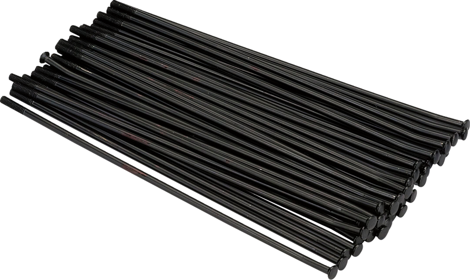 MX1 Spoke Set - Stainless Steel - Rear - Black - 19" - Lutzka's Garage