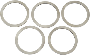 Bearing Retaining Washer - .080" - Big Twin