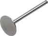 Exhaust Valve