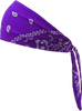 Old School Bandana - Traditional Purple Paisley