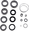 Differential Bearing/Seal Kit - Honda - Front