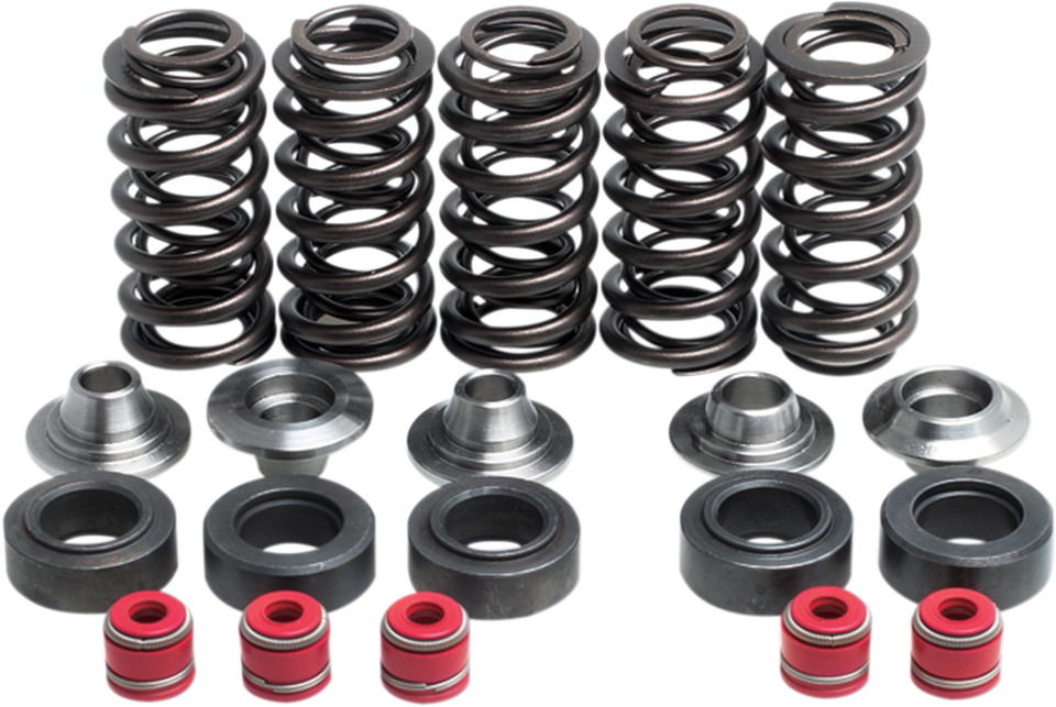 Valve Spring Kit