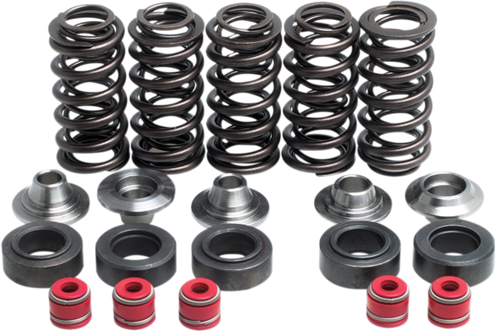 Valve Spring Kit