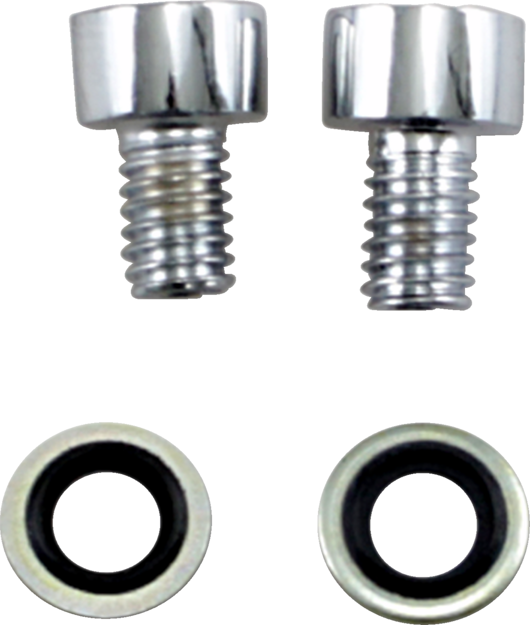 Fork Drain Bolt - Kit