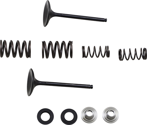 Intake Valve Kit