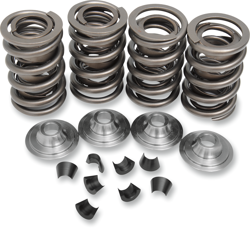 Valve Spring Kit - Big Twin