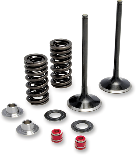 Intake Valve Kit