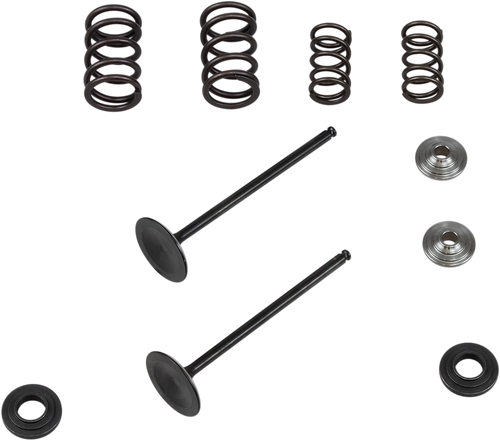 Valve Spring Kit