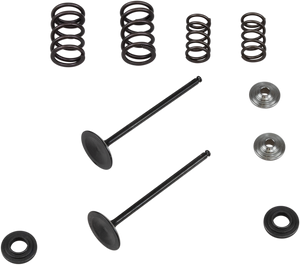 Valve Spring Kit