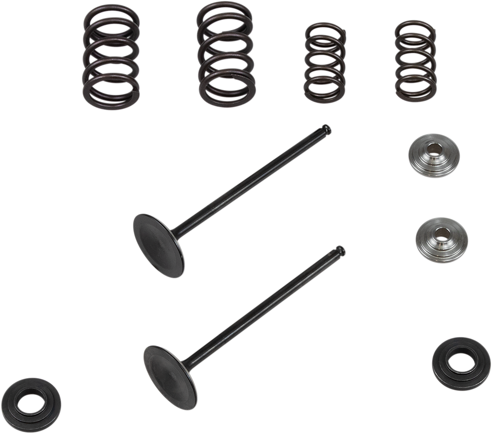 Valve Spring Kit