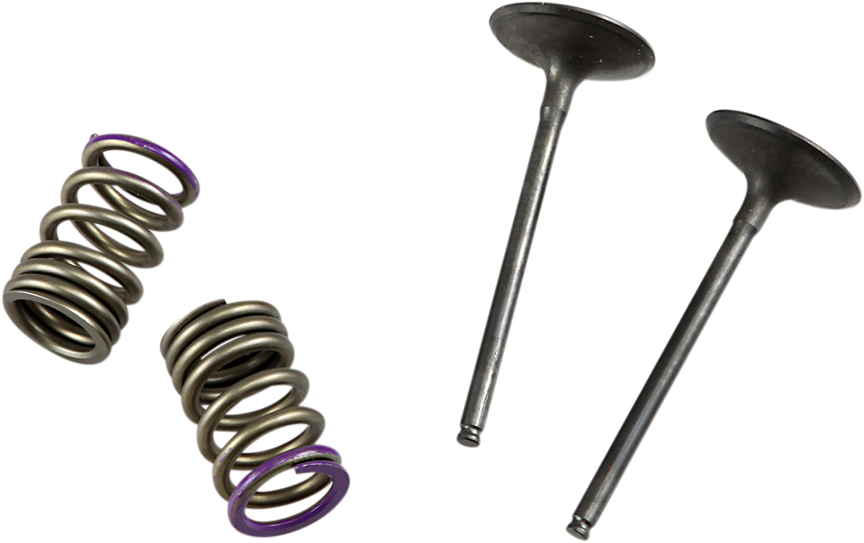 Valve and Spring Kit - Intake - Kawasaki