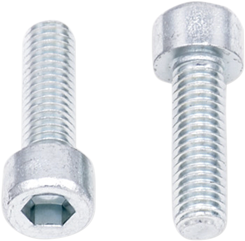 Allen Bolts - Socket-Head - M6 x 20 - 10-Pack