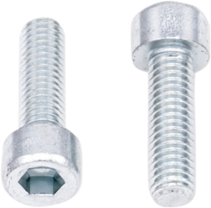 Allen Bolts - Socket-Head - M6 x 20 - 10-Pack