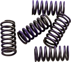 Clutch Spring Kit