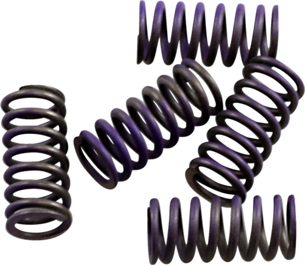 Clutch Spring Kit