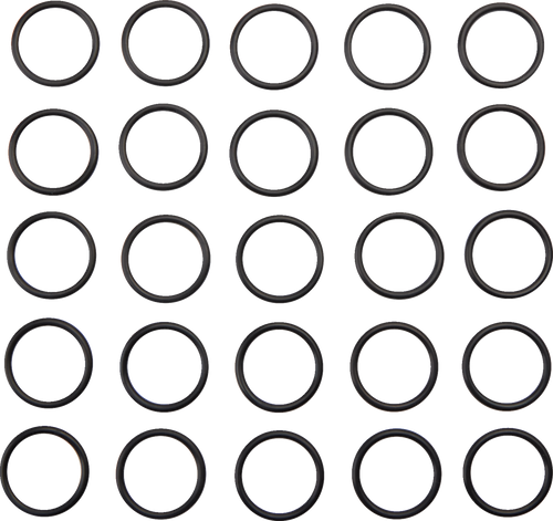 Lower Pushrod O-Ring