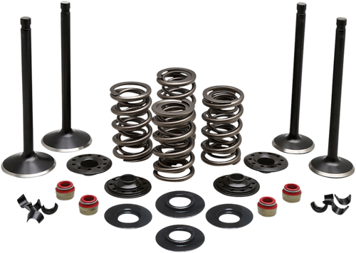 Complete Valve Kit - Evolution/883