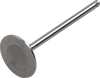 Intake Valve