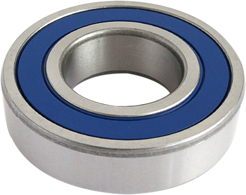 Axle Bearing - Rear