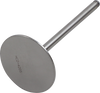 Intake Valve