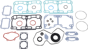 Gasket Kit with Oil Seals - Ski Doo 800 ETEC