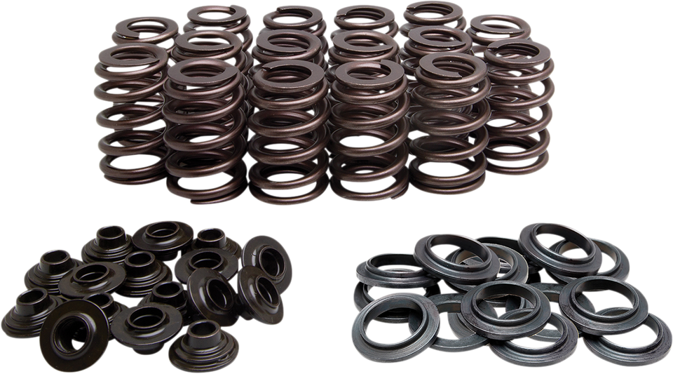 Beehive Valve Spring Kit