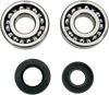 Crankcase Bearing and Seal Kit