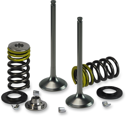 Intake Valve Kit