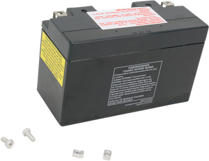 AGM Battery - YT7B-BS