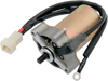 Starter Motor - Polaris