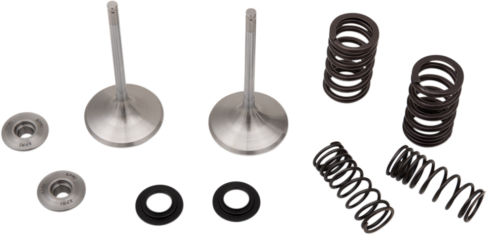 Intake Valve Kit