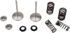 Intake Valve Kit