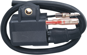 External Ignition Coil - Polaris