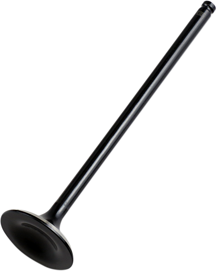 Intake Valve