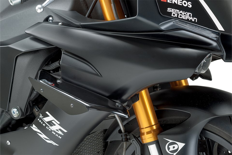 Winglets - YZFR1